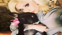 Lady Gaga's dog walker shot, two of her...